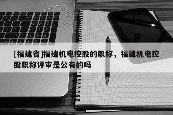 [福建省]福建機(jī)電控股的職稱，福建機(jī)電控股職稱評審是公有的嗎