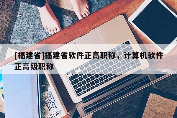 [福建省]福建省軟件正高職稱，計算機軟件正高級職稱