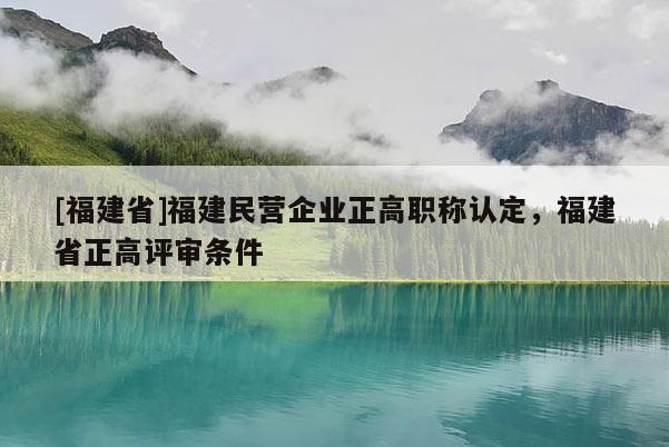 [福建省]福建民營(yíng)企業(yè)正高職稱(chēng)認(rèn)定，福建省正高評(píng)審條件