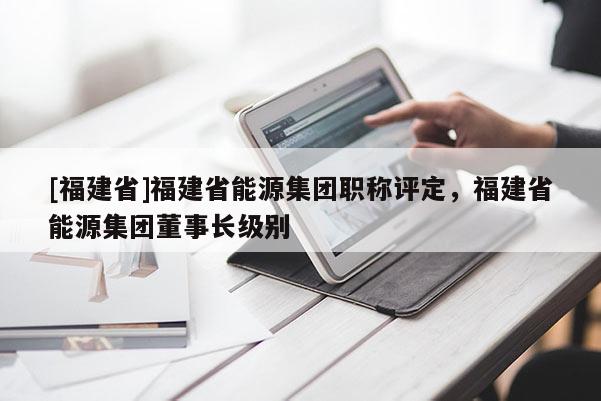 [福建省]福建省能源集團(tuán)職稱(chēng)評(píng)定，福建省能源集團(tuán)董事長(zhǎng)級(jí)別